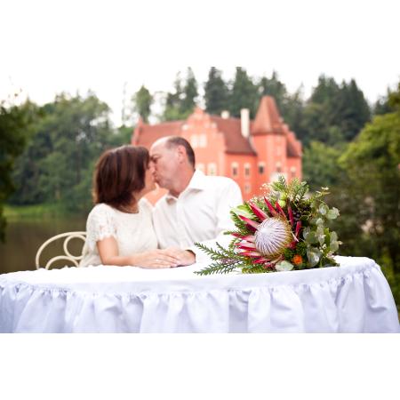 Svatební fotografie - Anna a Karel